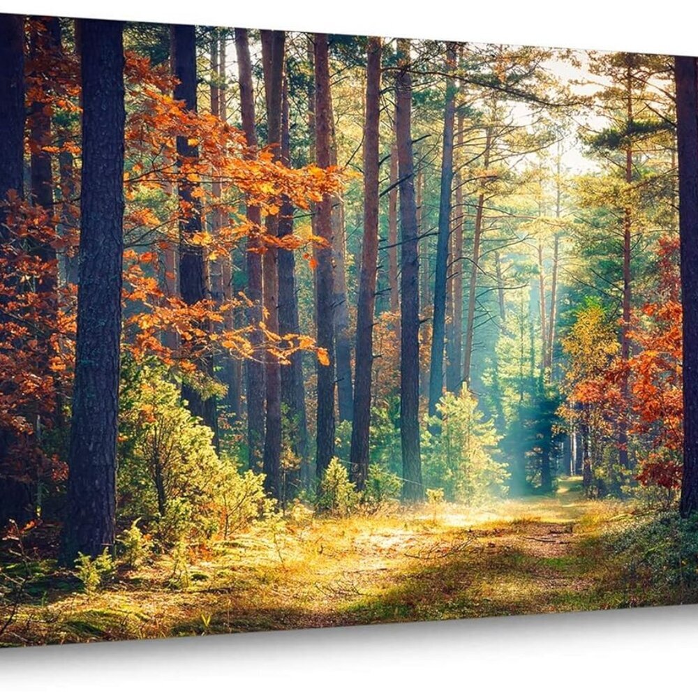 Autumn Forest Large Stretched Canvas Wall Art For Living Room Bedroom Home Decor